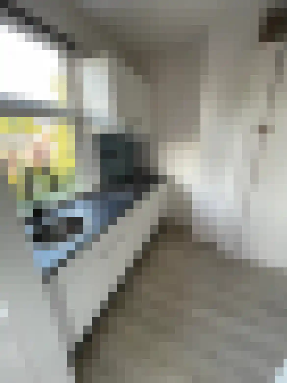 Riouwstraat 3 Groningen thumbnail 4