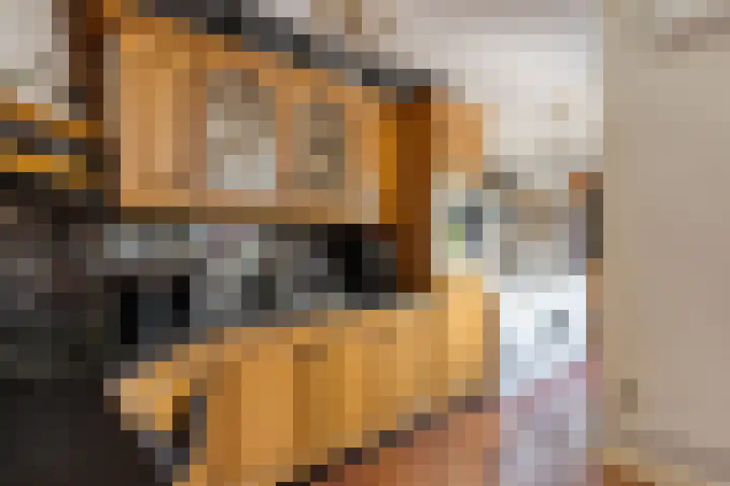 Riouwstraat 3 Haarlem thumbnail 11