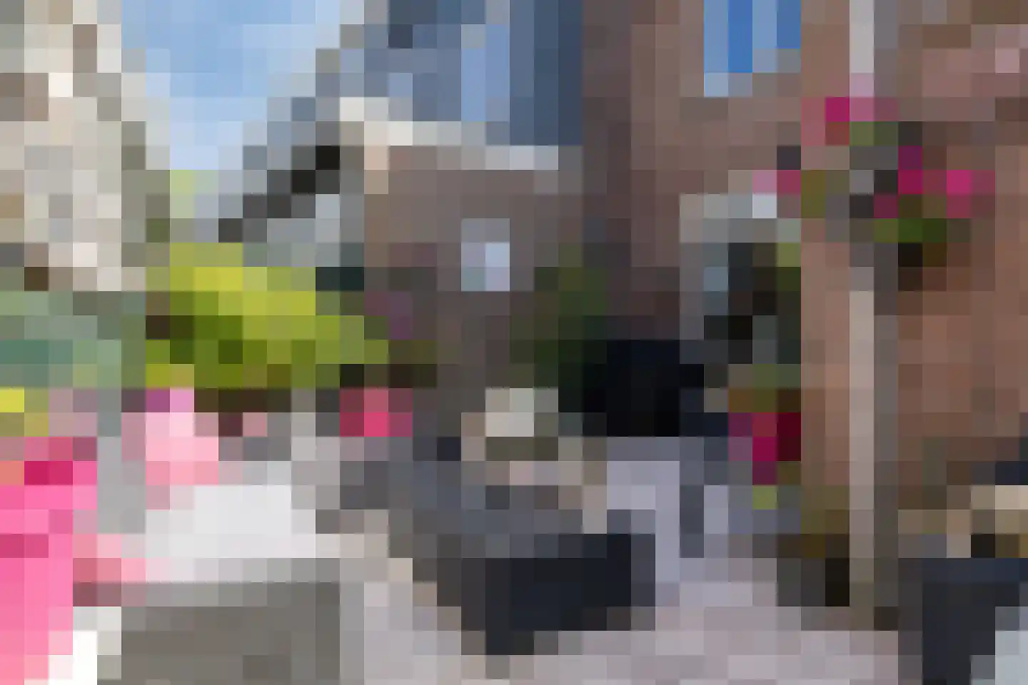 Riouwstraat 3 Haarlem thumbnail 13