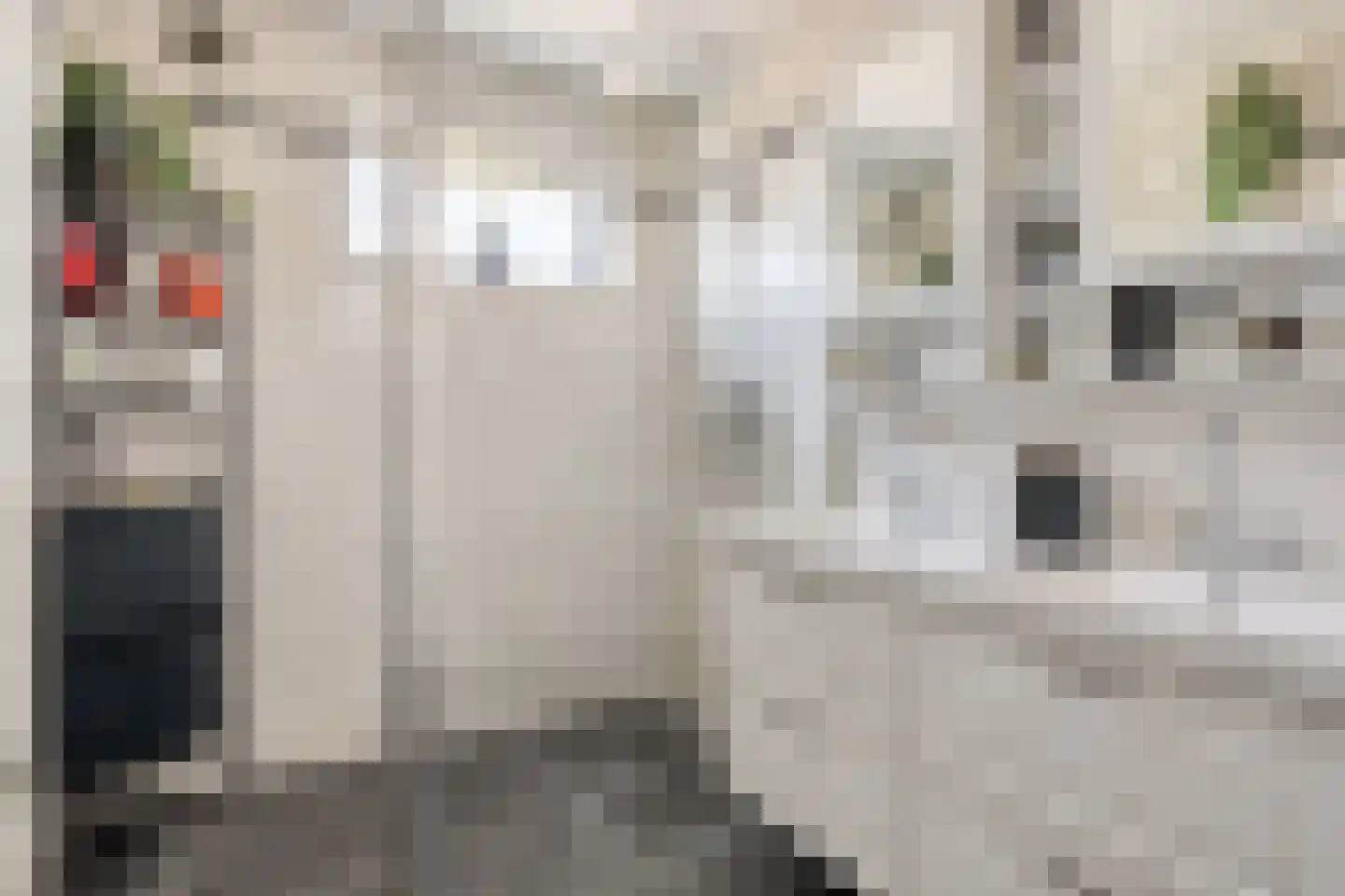 Riouwstraat 3 Haarlem thumbnail 19