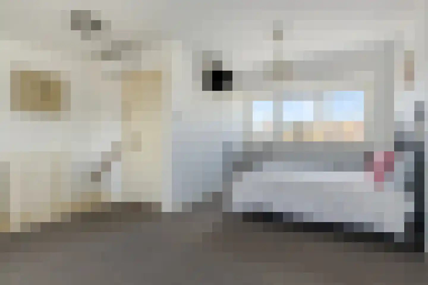 Riouwstraat 3 Haarlem thumbnail 22