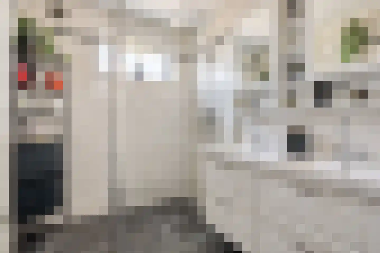 Riouwstraat 3 Haarlem thumbnail 22