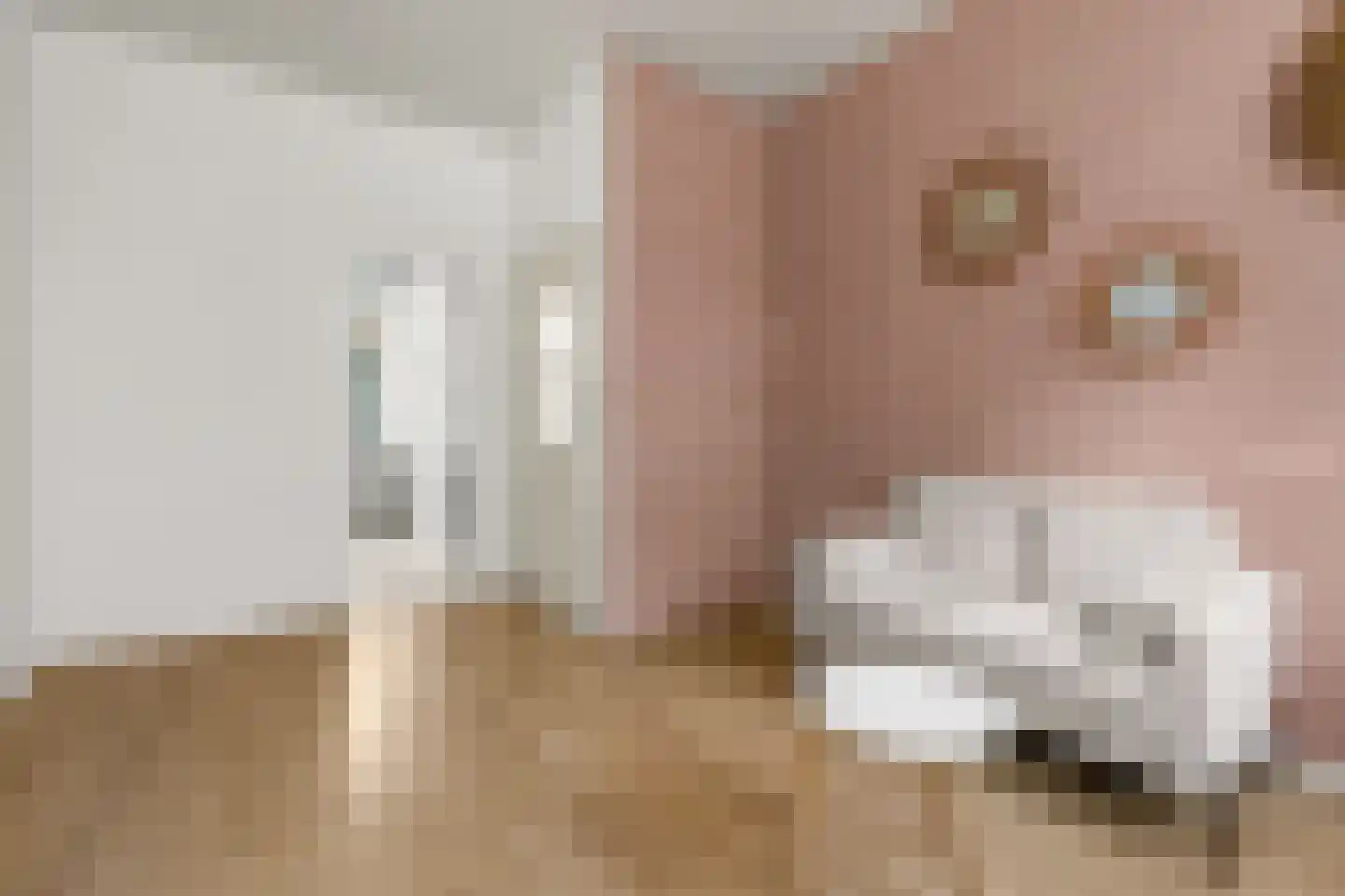 Riouwstraat 33 Utrecht thumbnail 7