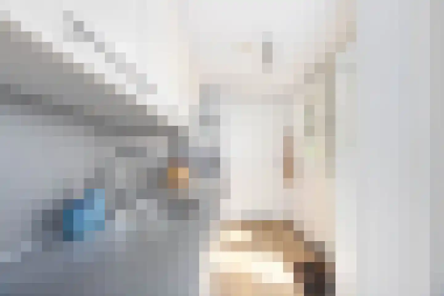 Riouwstraat 4 Utrecht thumbnail 11