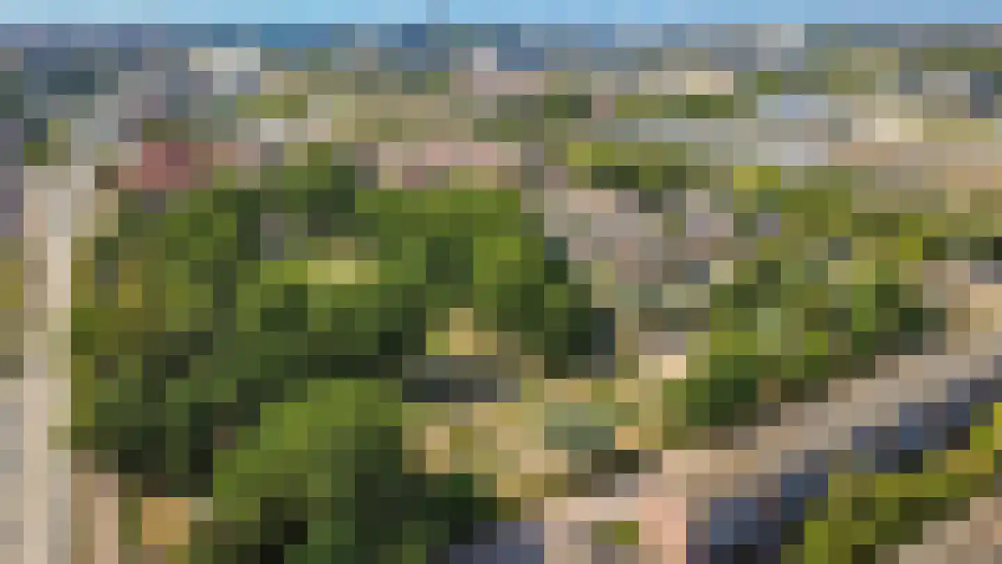 Riouwstraat 4 Utrecht thumbnail 31