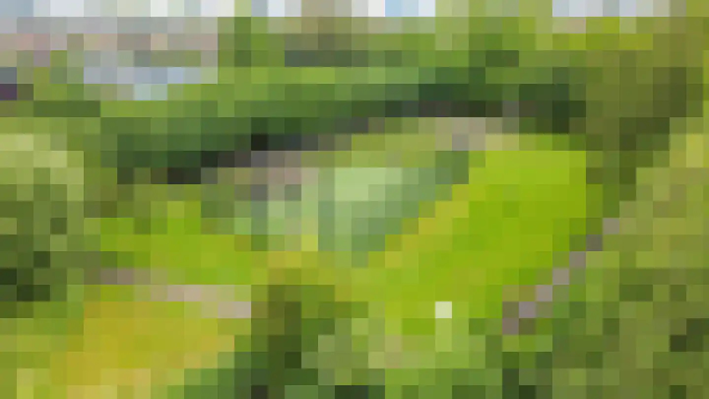 Riouwstraat 4 Utrecht thumbnail 34