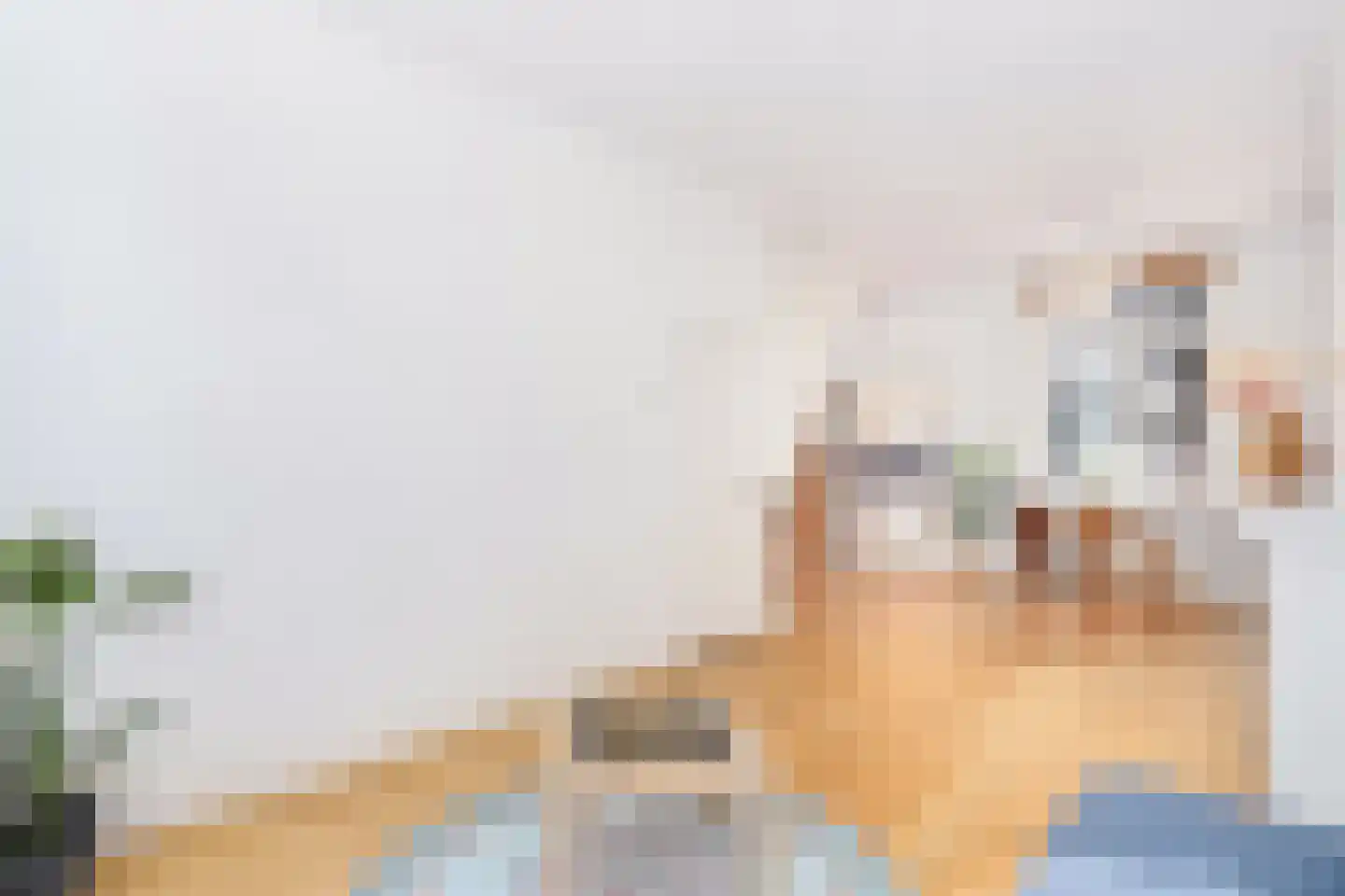 Riouwstraat 4 Utrecht thumbnail 4