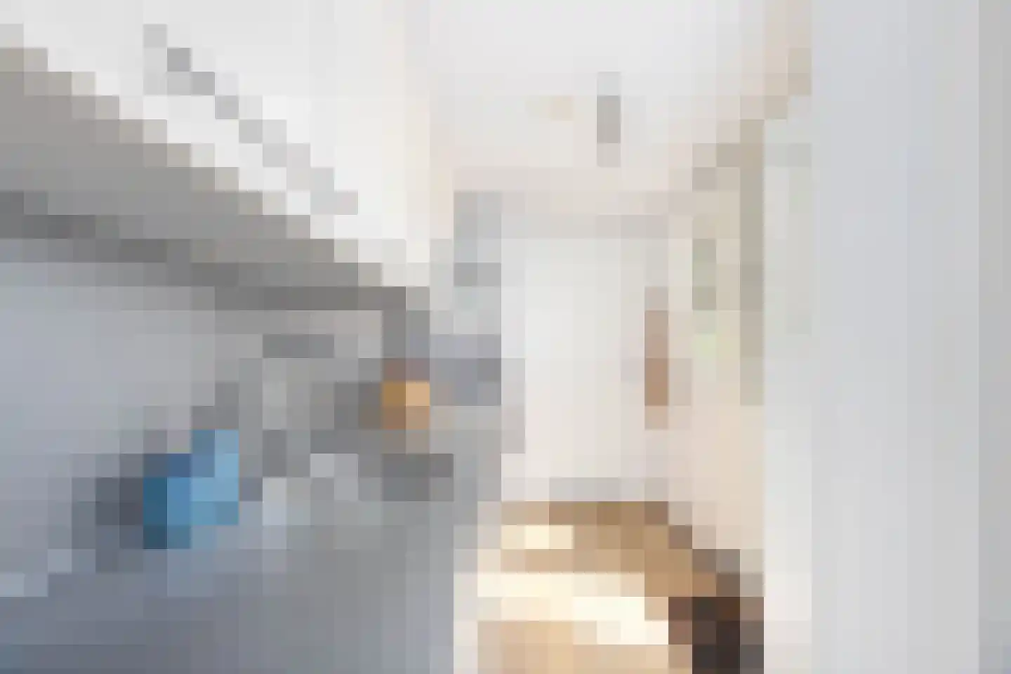 Riouwstraat 4 Utrecht thumbnail 9