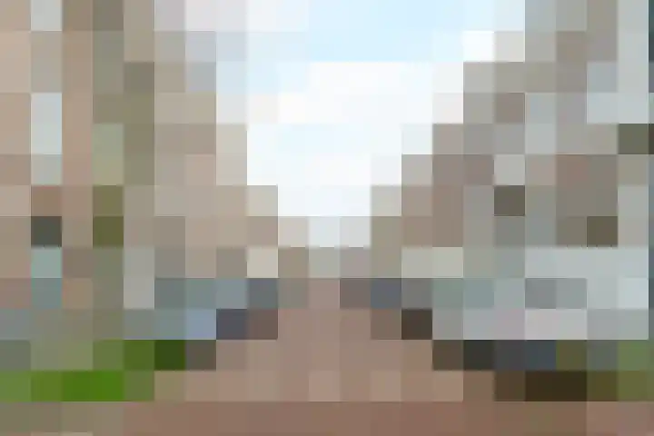 Riouwstraat 42 A Den Haag thumbnail 16