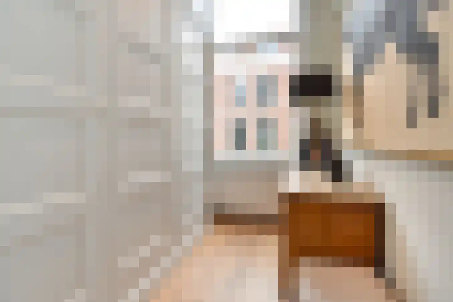 Riouwstraat 44 A Den Haag thumbnail 14
