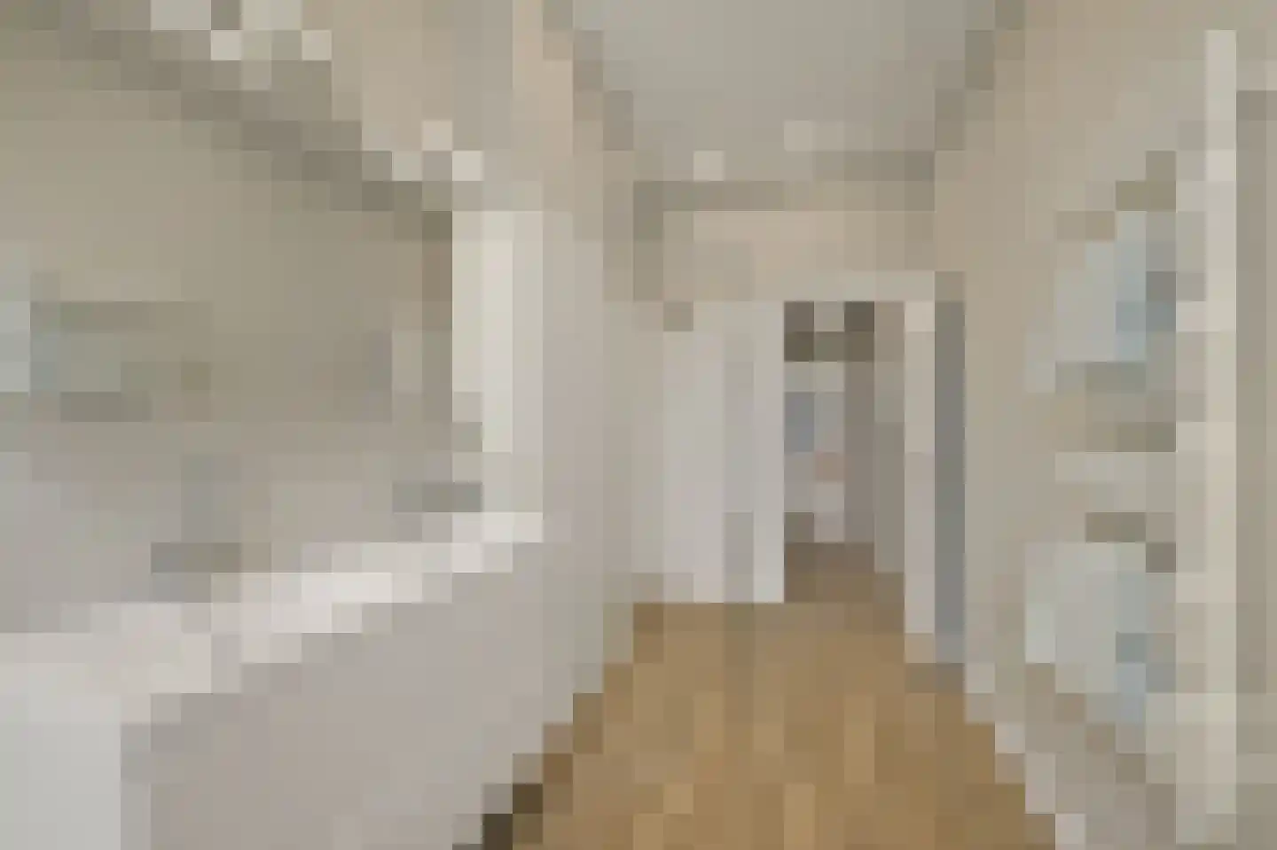 Riouwstraat 44 A Den Haag thumbnail 25