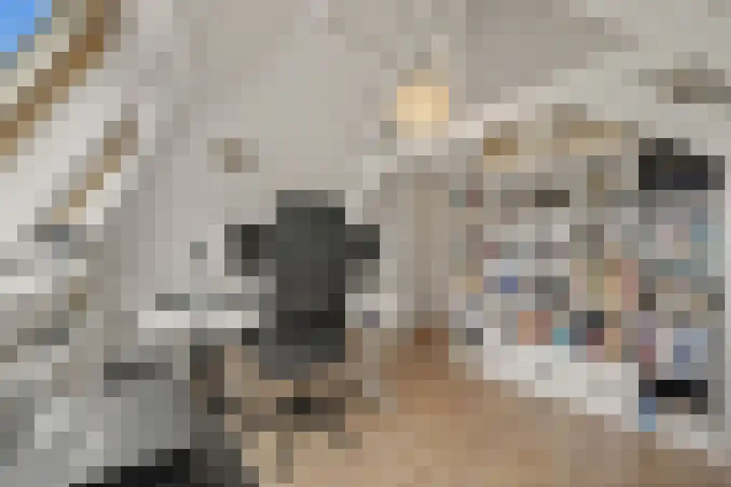Riouwstraat 44 A Den Haag thumbnail 33