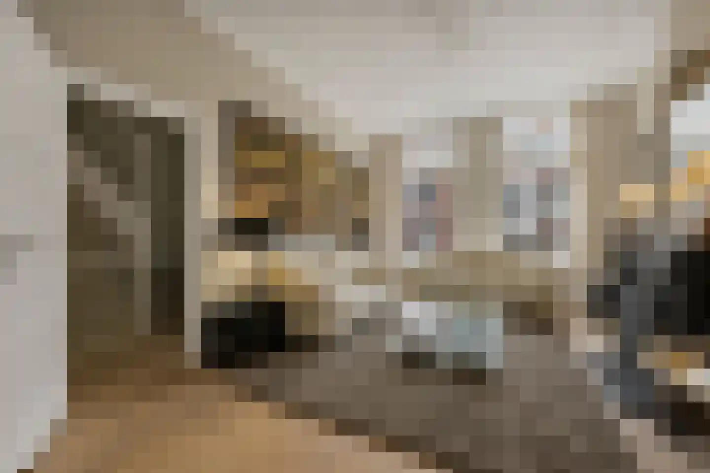 Riouwstraat 44 A Den Haag thumbnail 6