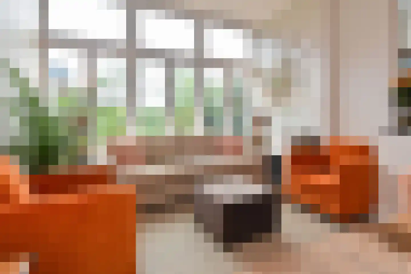 Riouwstraat 44 A Den Haag thumbnail 9