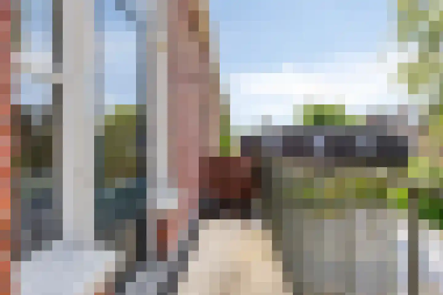 Riouwstraat 44 Groningen thumbnail 31