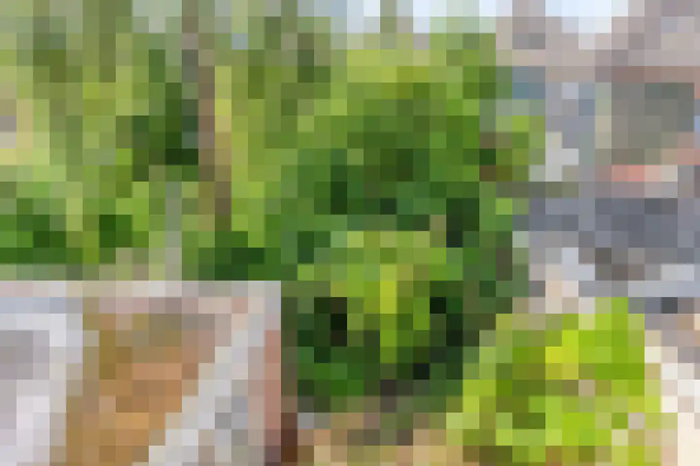 Riouwstraat 44 Groningen thumbnail 34