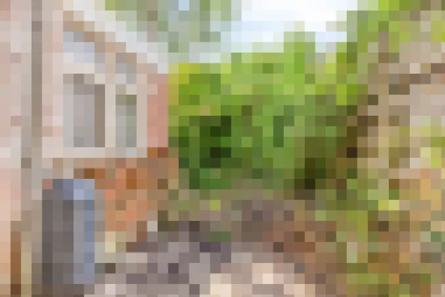 Riouwstraat 44 Groningen thumbnail 43