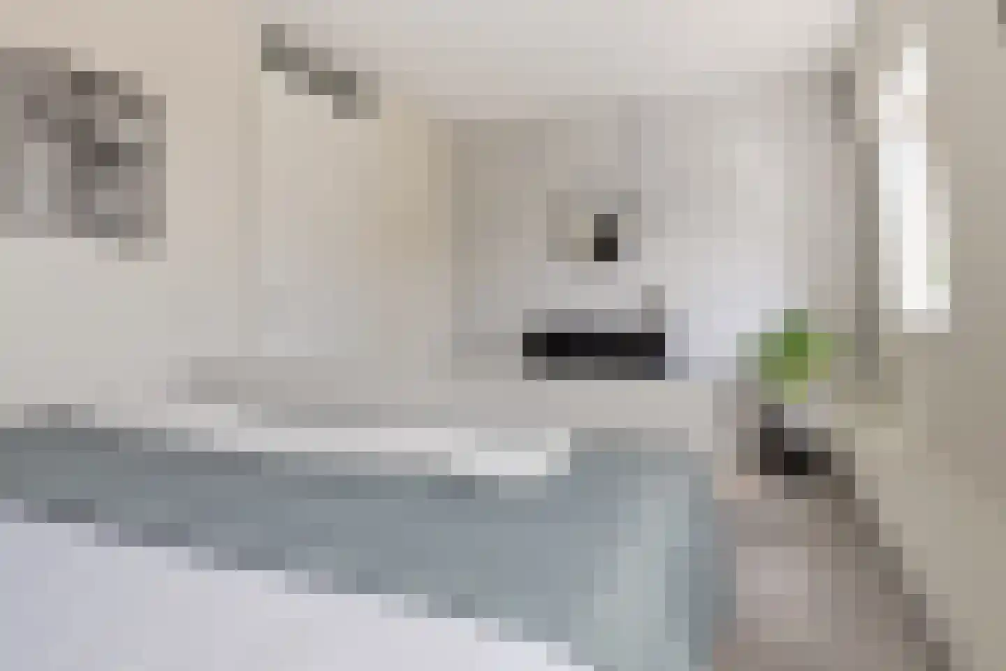 Riouwstraat 44 Wormerveer thumbnail 34