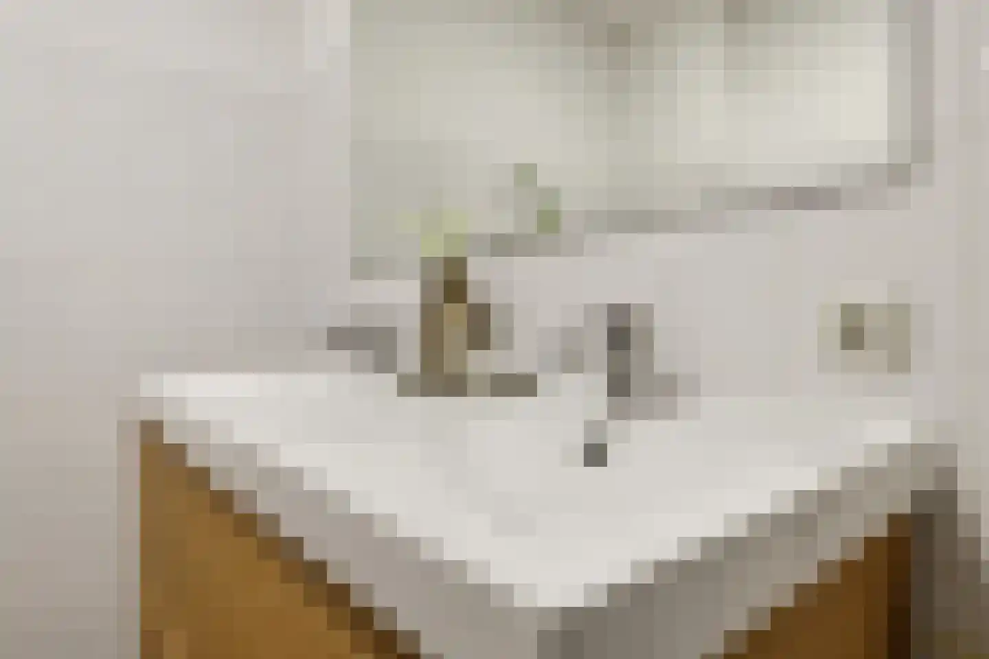 Riouwstraat 44 Wormerveer thumbnail 39