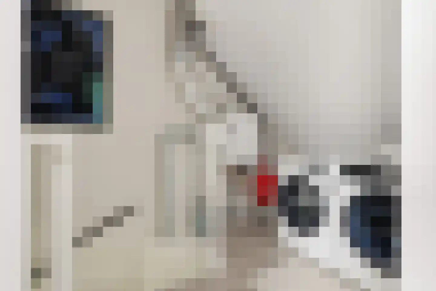 Riouwstraat 44 Wormerveer thumbnail 44