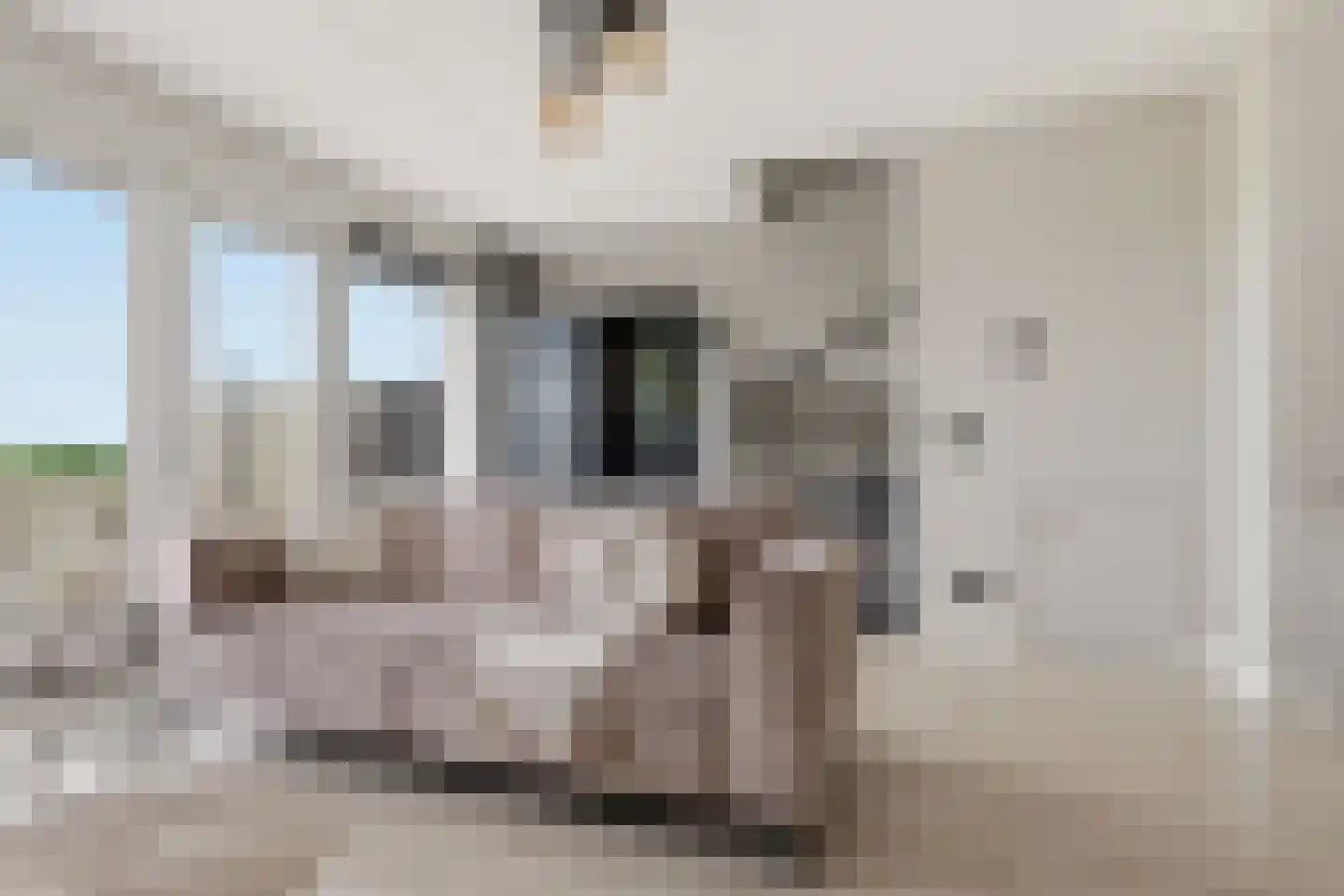 Riouwstraat 44 Wormerveer thumbnail 6