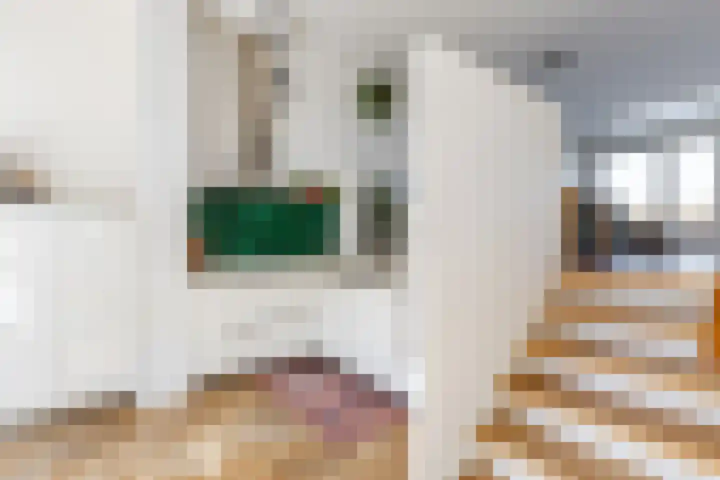 Riouwstraat 48 Wormerveer thumbnail 10