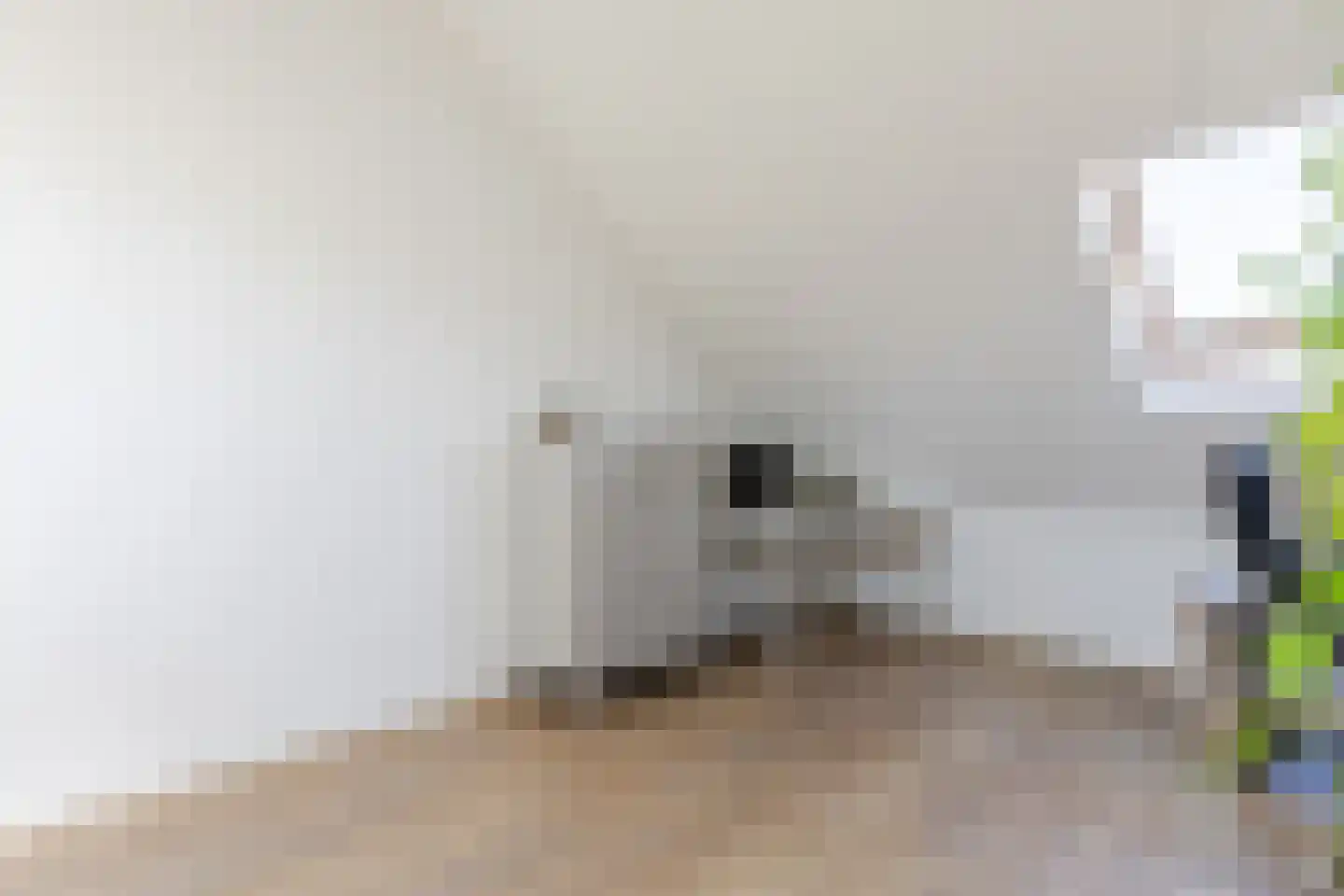 Riouwstraat 48 Wormerveer thumbnail 35