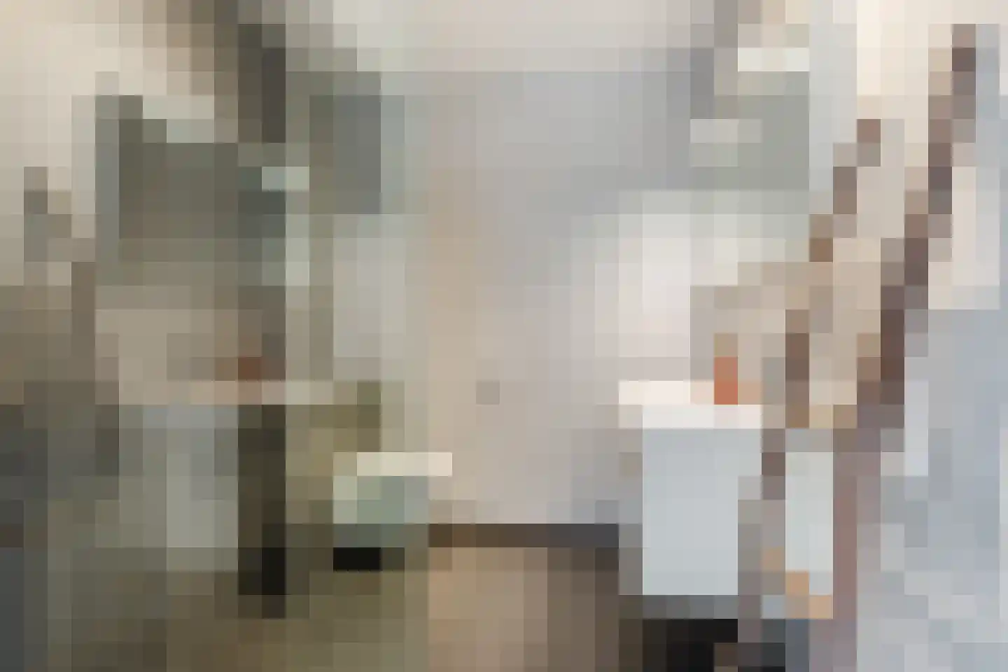 Riouwstraat 48 Wormerveer thumbnail 4