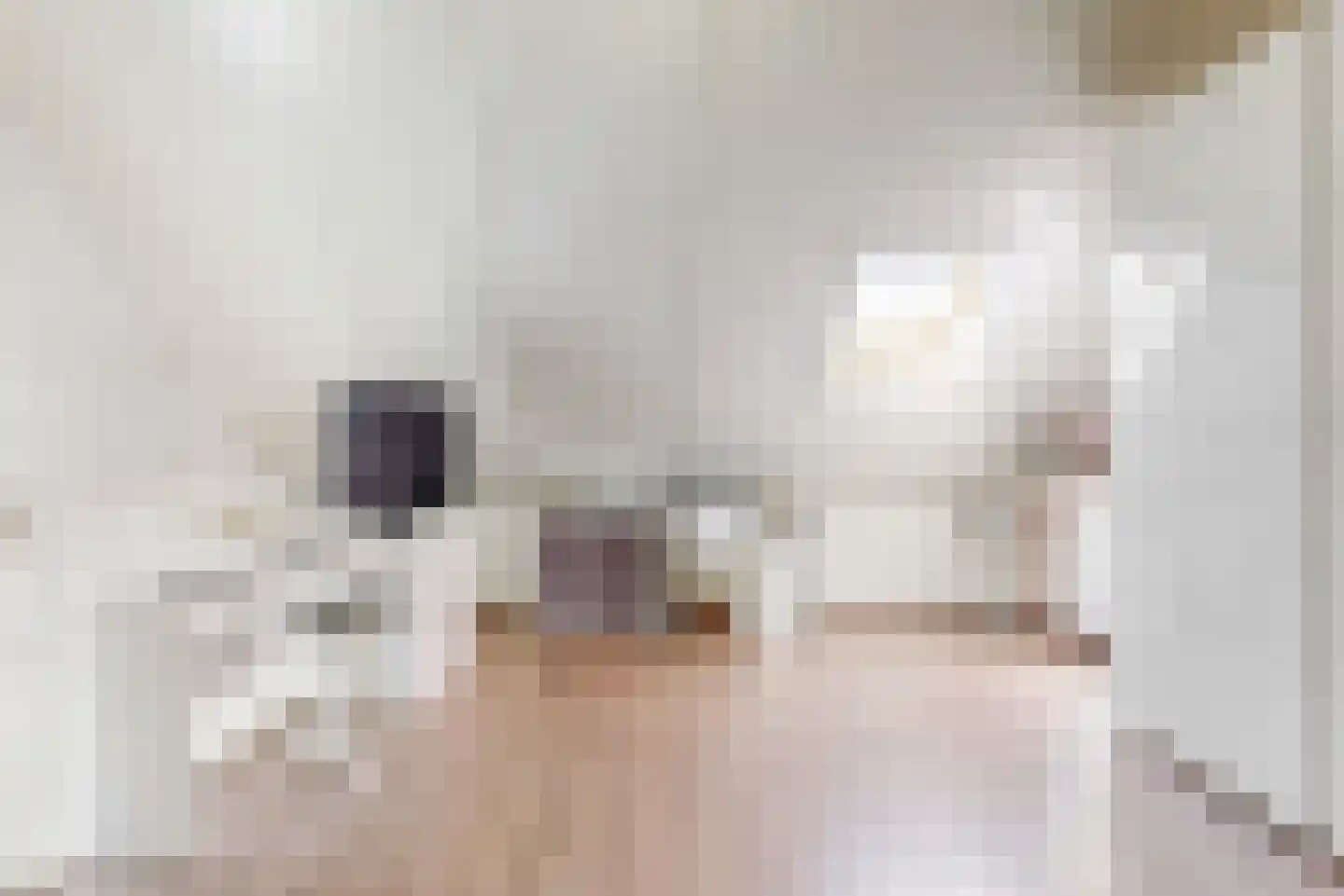 Riouwstraat 54 Wormerveer thumbnail 25
