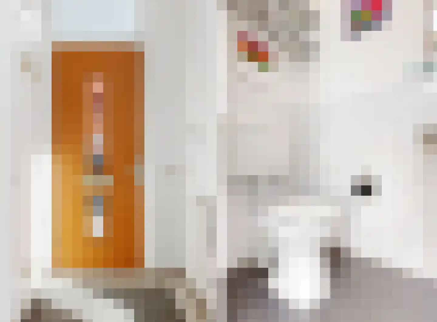 Riouwstraat 54 Wormerveer thumbnail 5