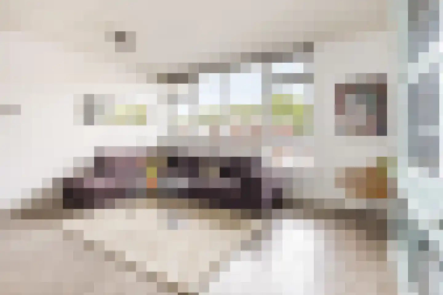 Riouwstraat 56 Amsterdam thumbnail 11
