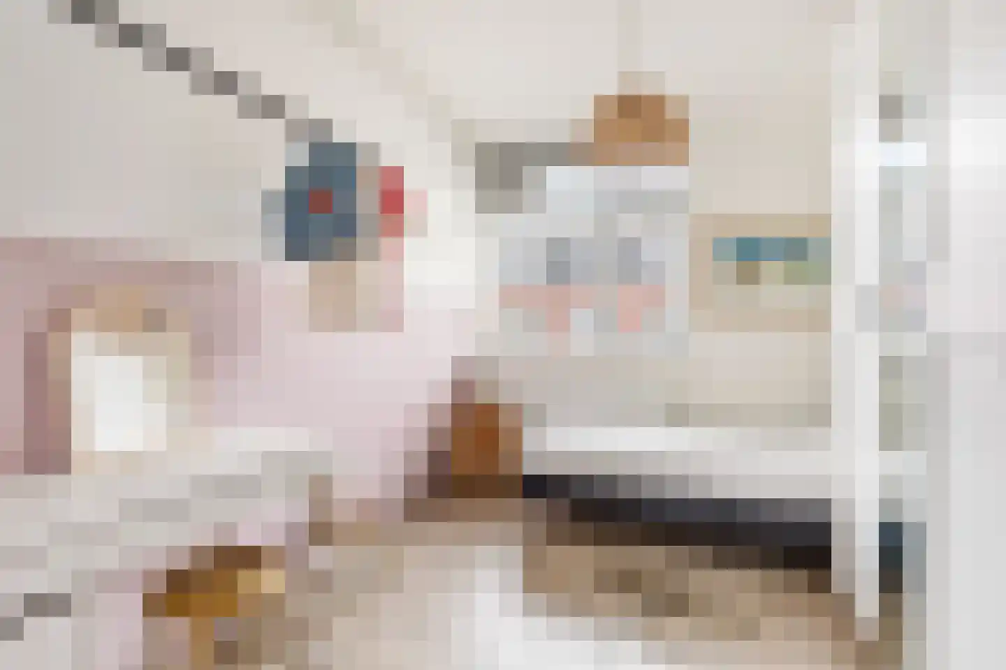 Riouwstraat 56 Amsterdam thumbnail 18