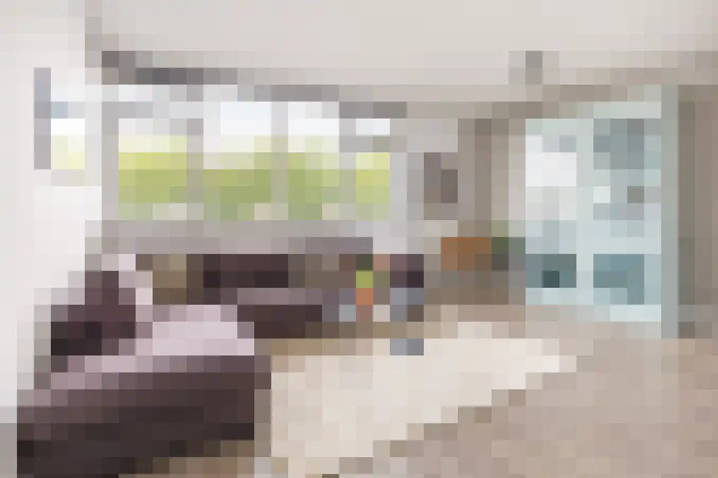 Riouwstraat 56 Amsterdam thumbnail 5