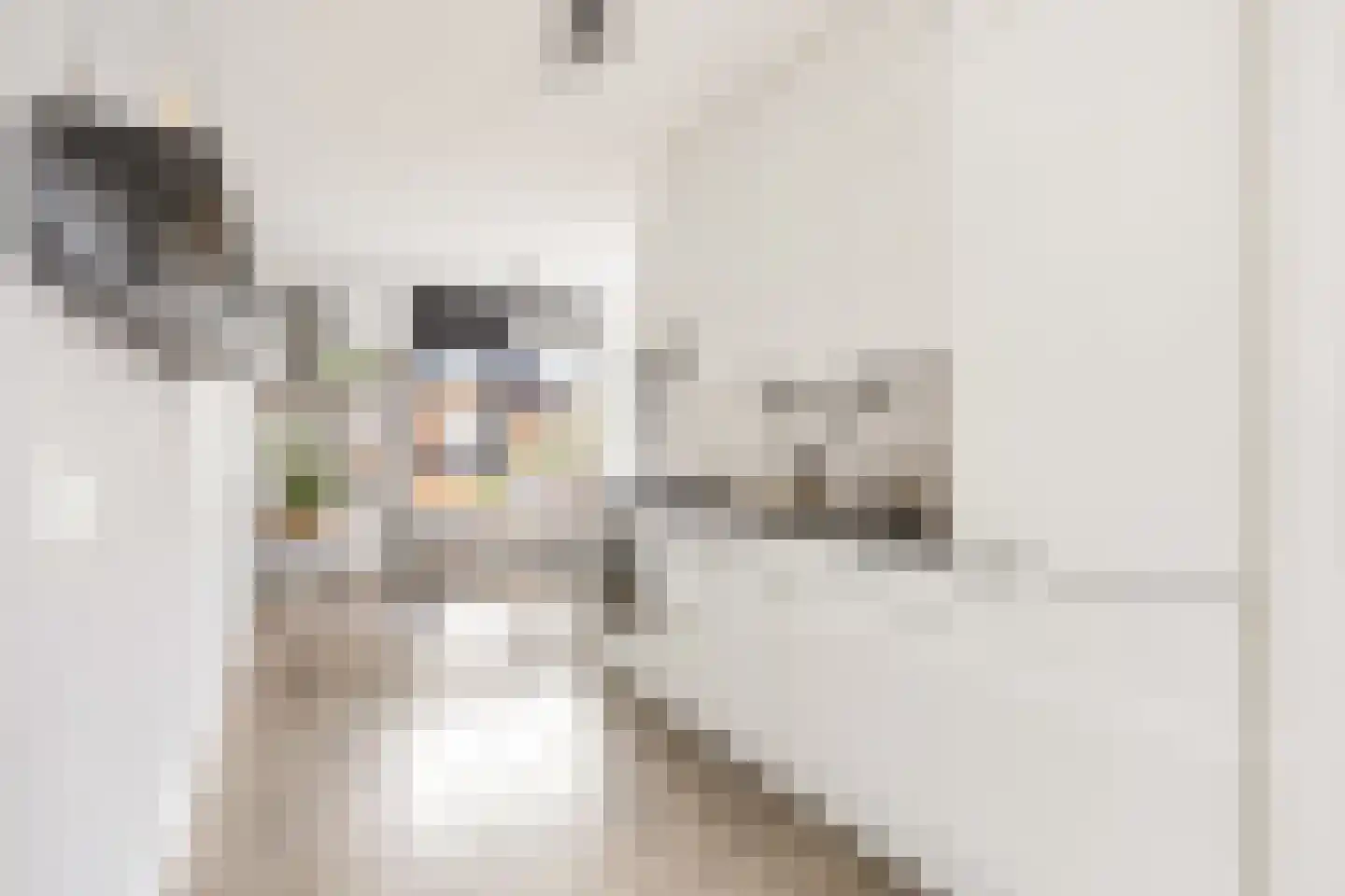 Riouwstraat 56 Amsterdam thumbnail 6