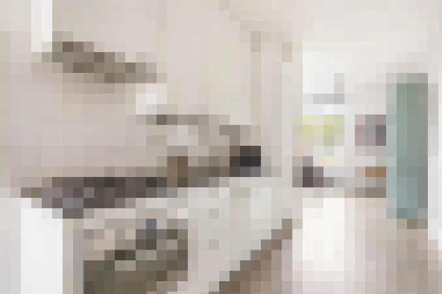 Riouwstraat 56 Amsterdam thumbnail 9
