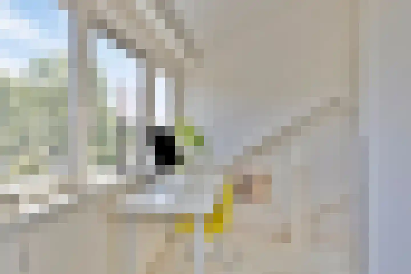Riouwstraat 6 Hengelo thumbnail 39