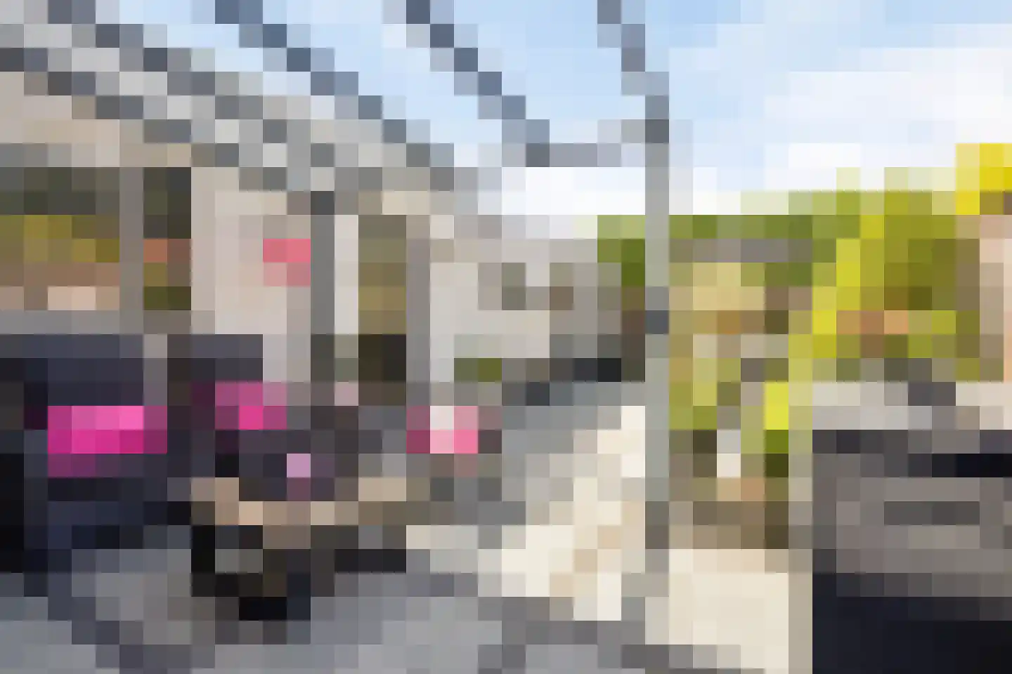 Riouwstraat 6 Hengelo thumbnail 42