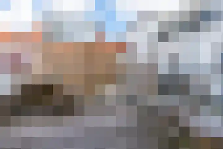 Riouwstraat 60 Utrecht thumbnail 37