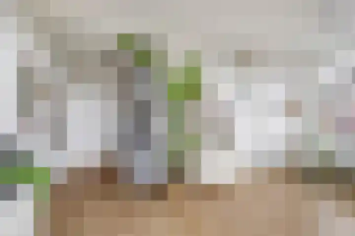 Riouwstraat 62 C Utrecht thumbnail 7