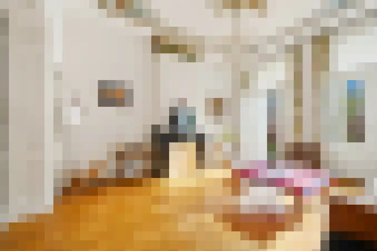 Riouwstraat 65 Den Haag thumbnail 34