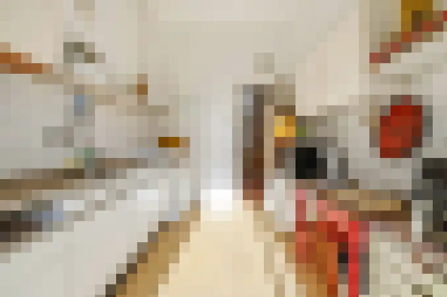 Riouwstraat 65 Den Haag thumbnail 44