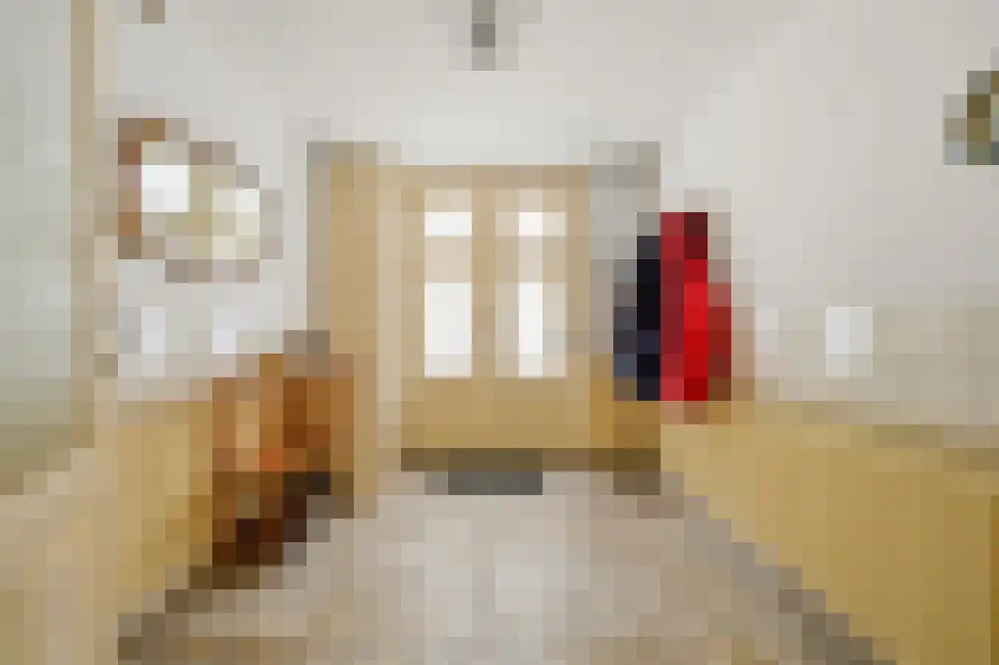 Riouwstraat 65 Den Haag thumbnail 9