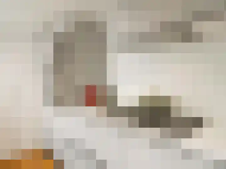 Riouwstraat 66 Utrecht thumbnail 10