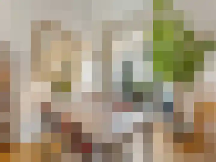 Riouwstraat 66 Utrecht thumbnail 12