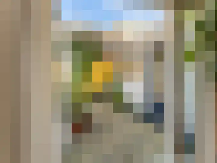 Riouwstraat 66 Utrecht thumbnail 13
