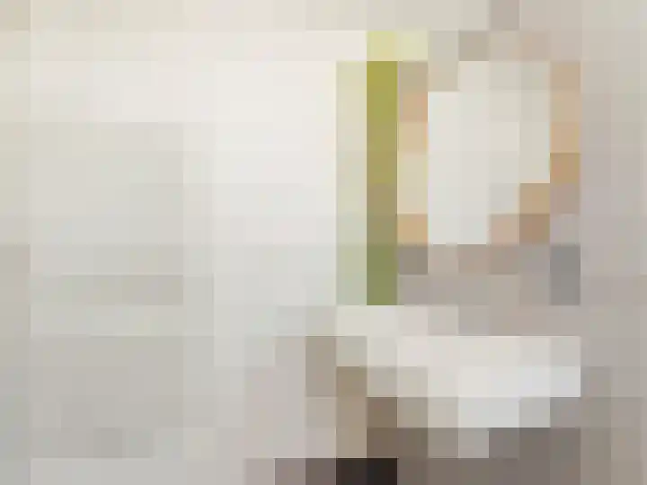 Riouwstraat 66 Utrecht thumbnail 25