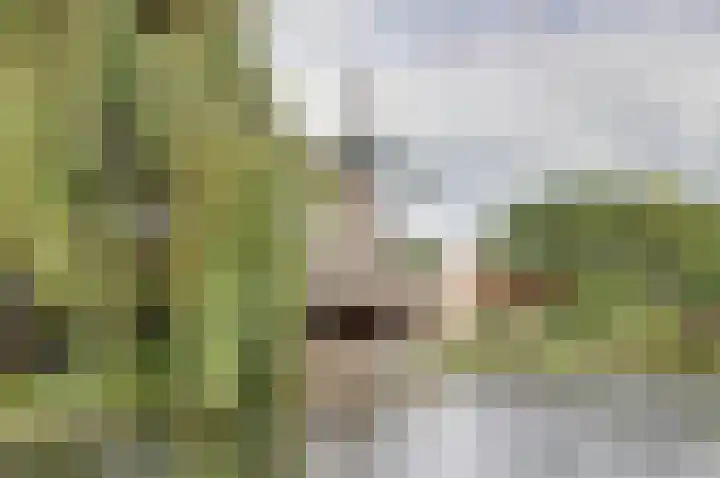 Riouwstraat 66 Utrecht thumbnail 34