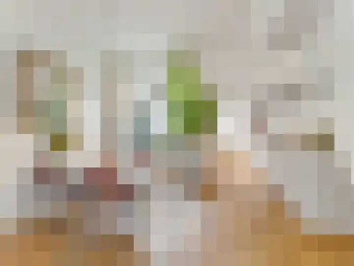 Riouwstraat 66 Utrecht thumbnail 7