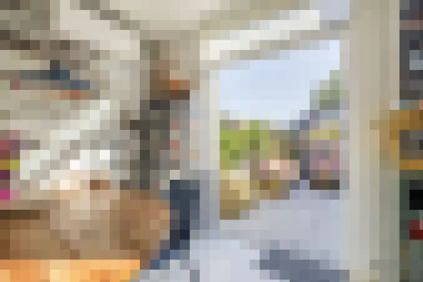 Riouwstraat 7 Wormerveer thumbnail 13