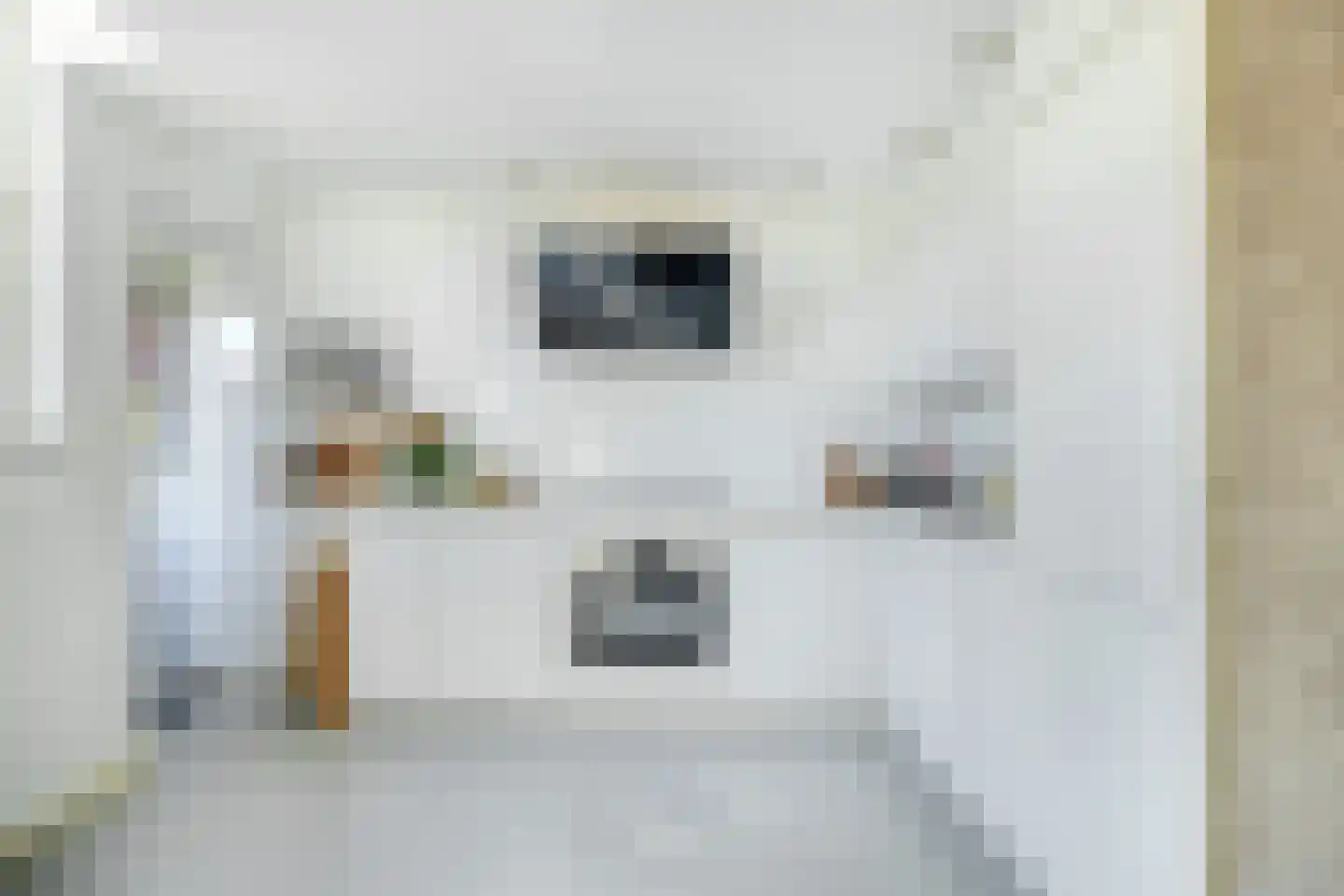 Riouwstraat 7 Wormerveer thumbnail 16